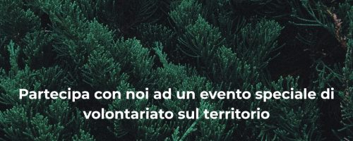 daje de cura 24 ottobre 26 (Storia Instagram) (2)